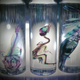 Illustration for article titled These psychedelic animal specimens are unlike anything youve ever seen